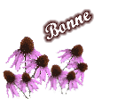 Gif animé bonjour bonne journée 